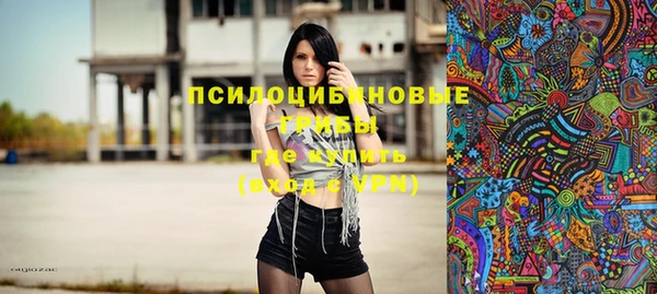 не бодяженный Бородино