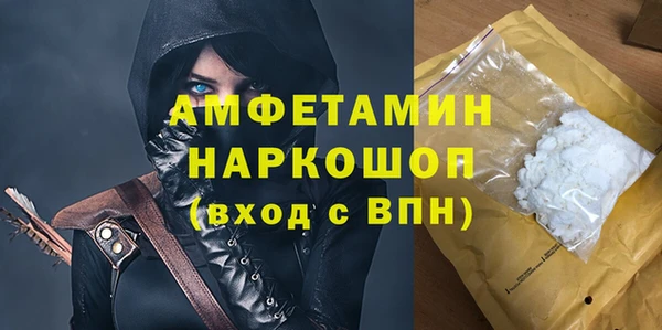 spice Богородицк