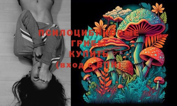 МДМА Белокуриха